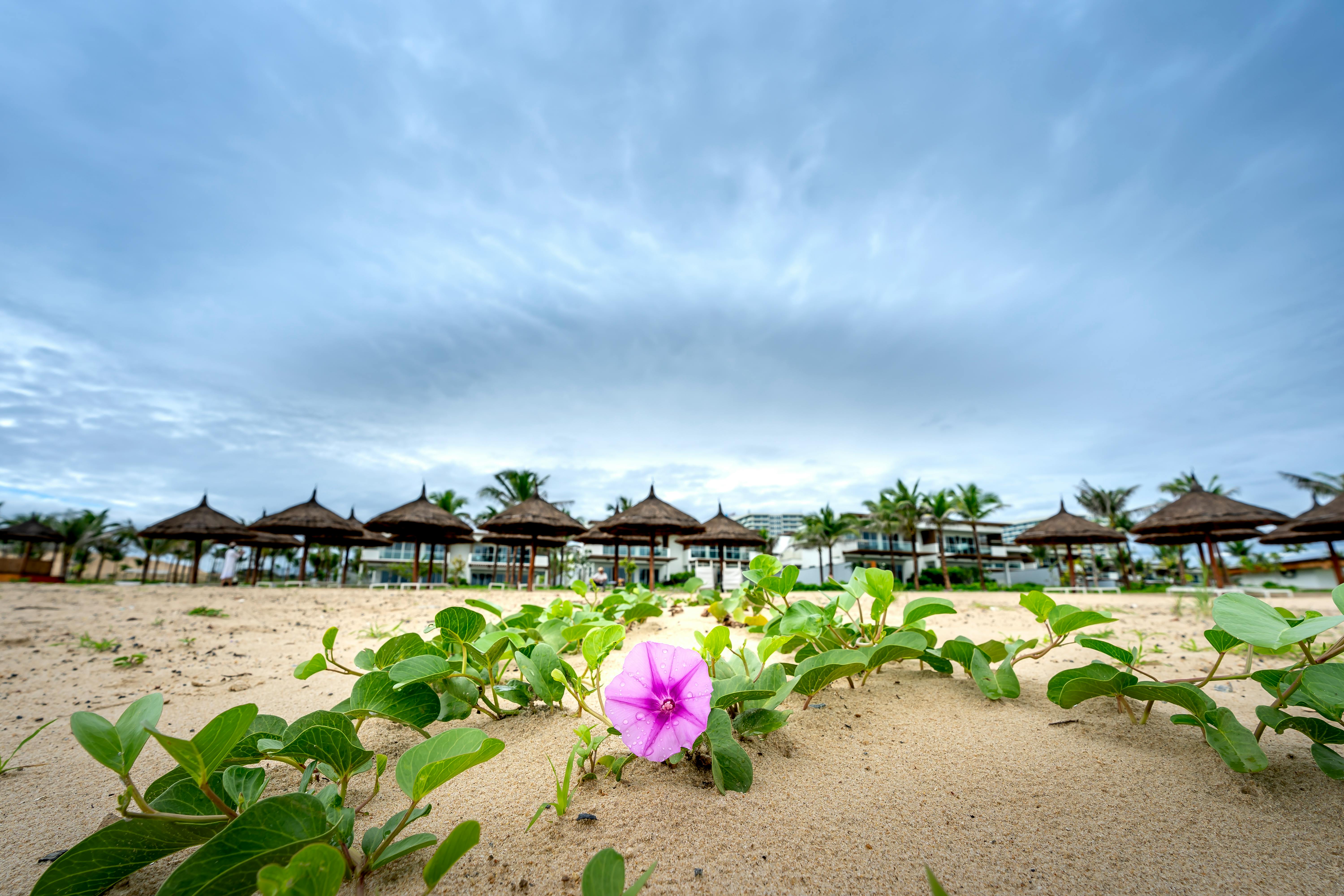 Coastal Cabana EC – Ideal for First-Time Homebuyers