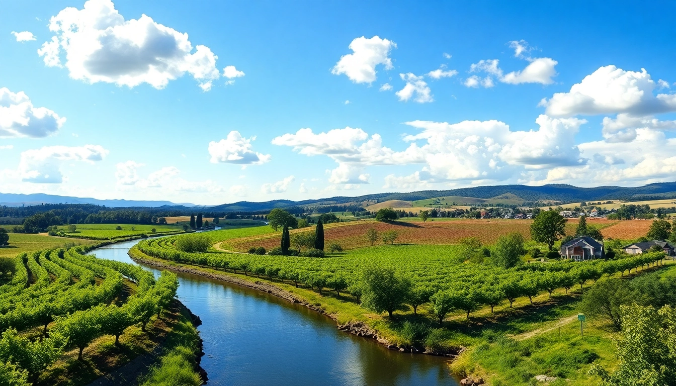 Capture the changing clarksburg ca weather with vibrant vineyards and a serene river landscape.